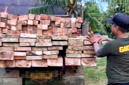 Kayu penangkapan tim gabungan di Desa Sungai Raya, Kecamatan Singkep Barat (foto/net)