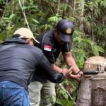 Keterangan foto: pengecekan asal kayu yang dilakukan tim dan Gakkum Kehutanan dari kesaksian pemilik kayu