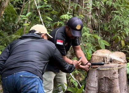 Keterangan foto: pengecekan asal kayu yang dilakukan tim dan Gakkum Kehutanan dari kesaksian pemilik kayu