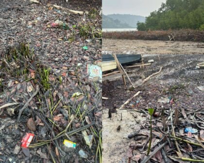 Kondisi dugaan penebangan liar tanaman mangrove di Desa Piabung, Kecamatan Palmatak, Kabupaten Kepulauan Anambas, (09/09/2026). (ft.hms Polres Anambas)